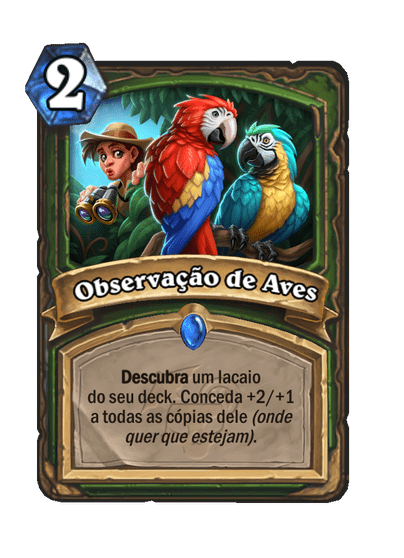 Observação de Aves